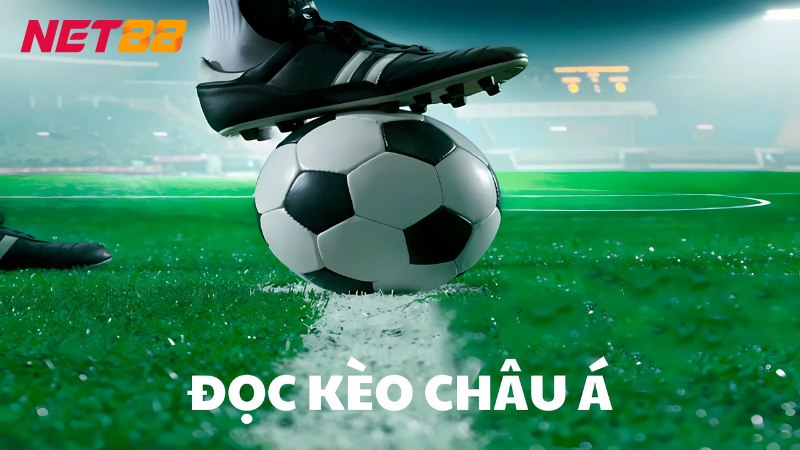 Kèo Châu Á Là Gì? Cách Đọc & Soi Kèo Hiệu Quả Cho Bet Thủ 3 Cách đọc kèo Handicap đơn giản và dễ hiểu